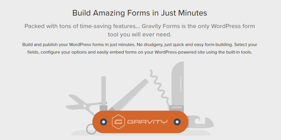 image for Gravity Forms WordPress Contact Form Plugin