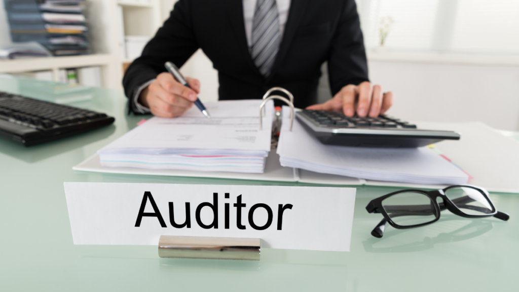 Tax Auditors - Shopify Financial Statement banner Image