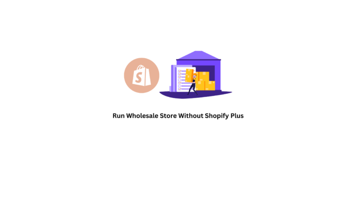 Run Wholesale Store Without Shopify Plus